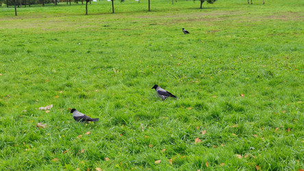 Similar image 21659409