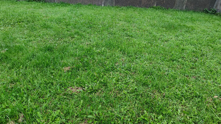 Similar image 21659410