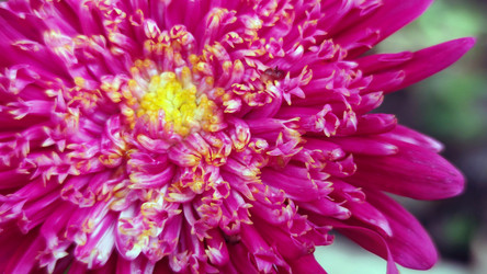 Similar image 21659411