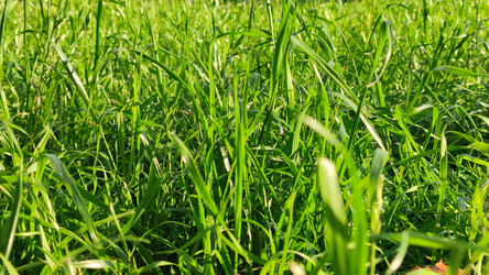 Similar image 21659421