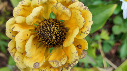 Similar image 21659427