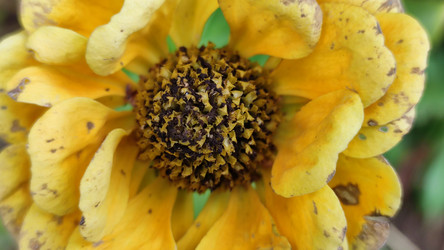 Similar image 21659437