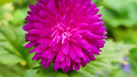 Similar image 21659439