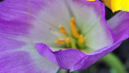 Similar image 21659440