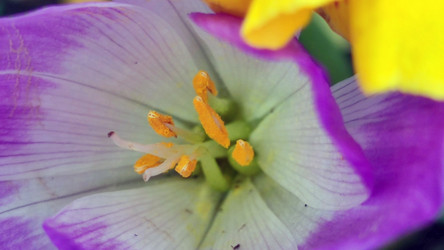 Similar image 21659441