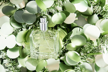 Similar image 21657704