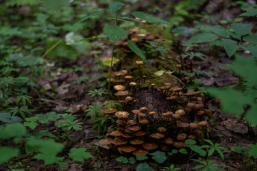 Similar image 21661386