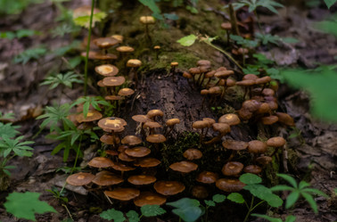 Similar image 21661387