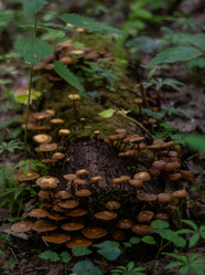 Similar image 21661388