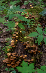 Similar image 21661389