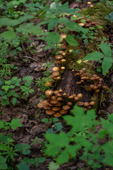 Similar image 21661390