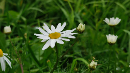 Similar image 21659400