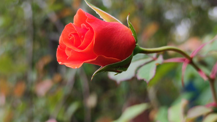 Similar image 21659401