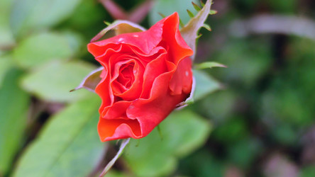 Similar image 21659402