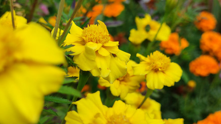 Similar image 21659404