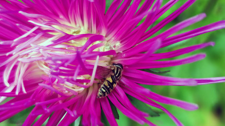 Similar image 21659405