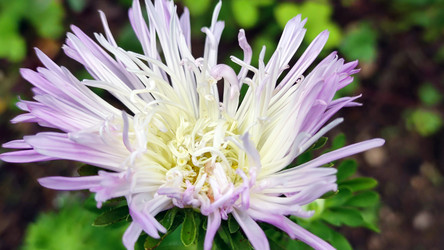 Similar image 21659406