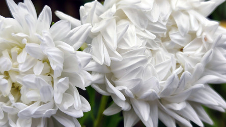 Similar image 21659407