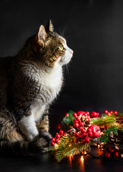 Similar image 21658882