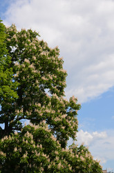 Similar image 21658902