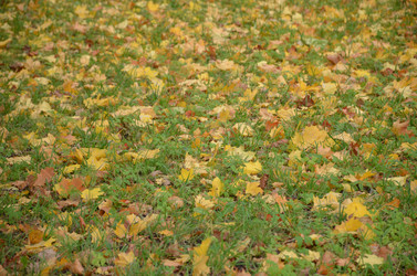 Similar image 21659795