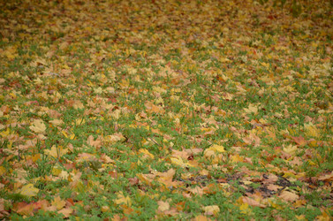 Similar image 21659797