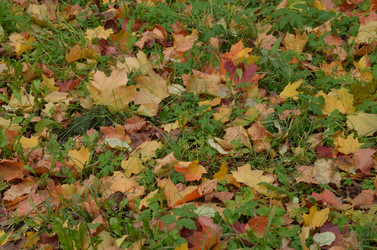 Similar image 21660158