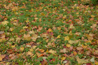 Similar image 21660160