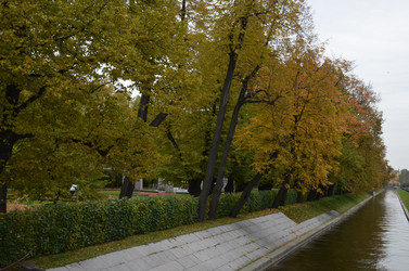 Similar image 21660165