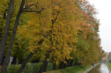 Similar image 21660167