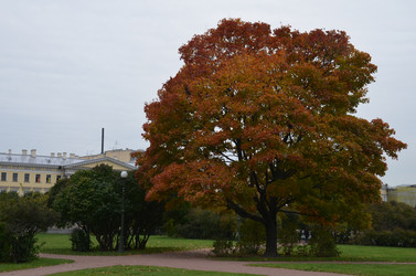 Similar image 21660338