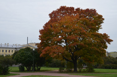 Similar image 21660339