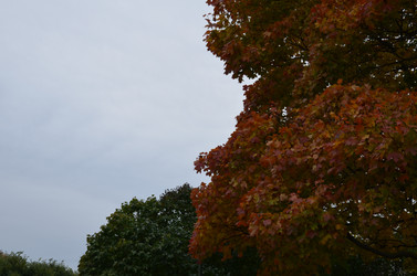 Similar image 21660341