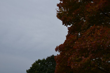 Similar image 21660342