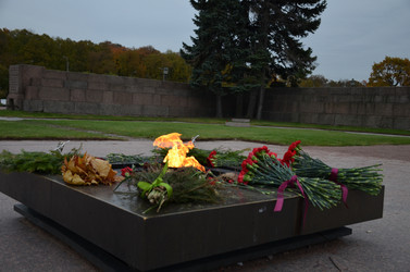 Similar image 21658910