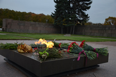 Similar image 21658911