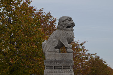 Similar image 21659801