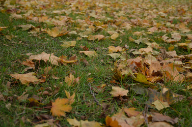 Similar image 21659803