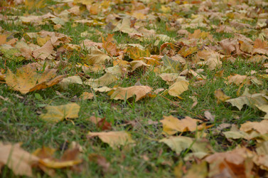 Similar image 21659804