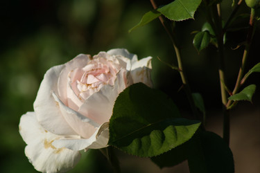 Similar image 21659603