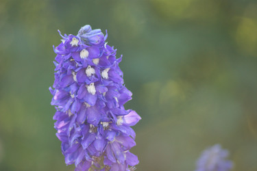 Similar image 21659605