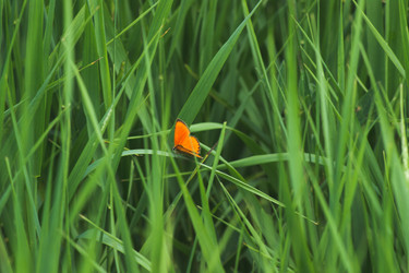 Similar image 21659606