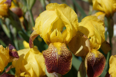 Similar image 21659607