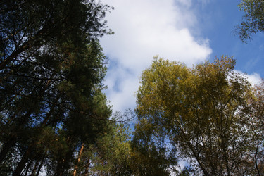 Similar image 21659609