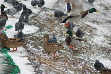 Similar image 21659610