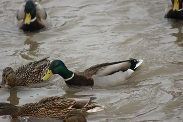 Similar image 21659611