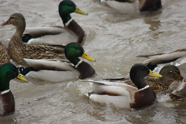 Similar image 21659612