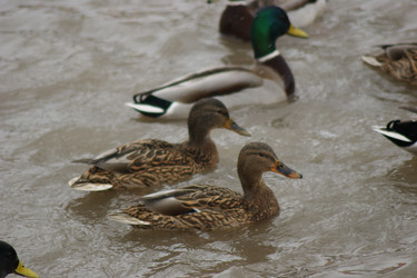 Similar image 21659613