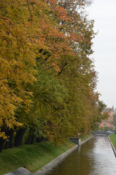 Similar image 21659808