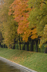 Similar image 21659813